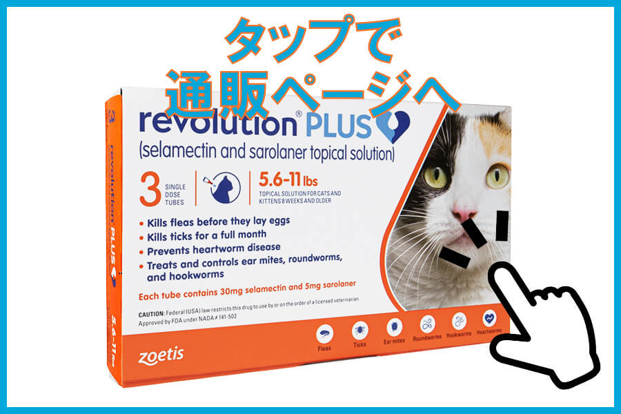 レボリューションプラス