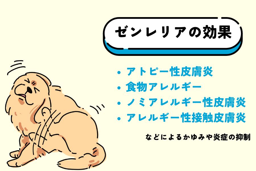 かゆみの原因がアレルギーやアトピーではない