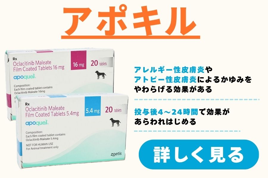 アポキル詳細ページ