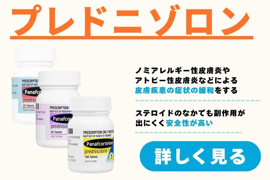 プレドニゾロン詳細ページ