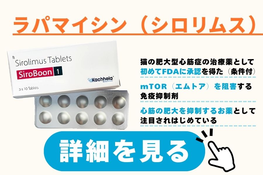 ラパマイシン（シロリムス）（免疫抑制剤）