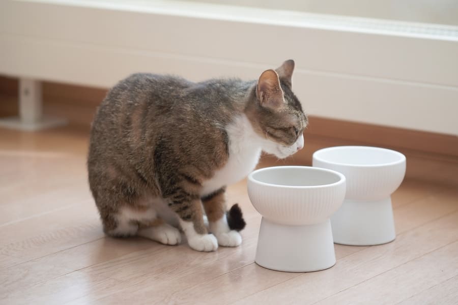 食事環境を整える
