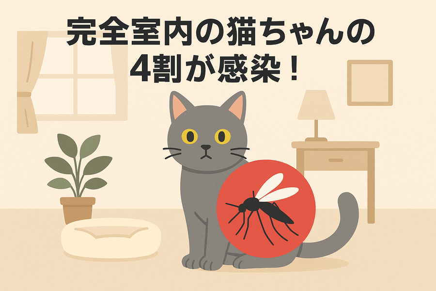フィラリアに感染した猫の〇割が完全室内飼育！