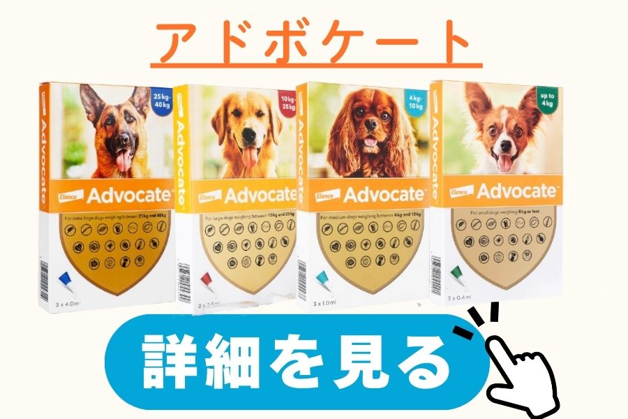 アドボケート
