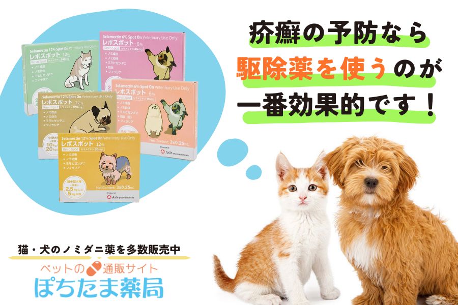 愛犬や愛猫に毎月予防薬を投与する