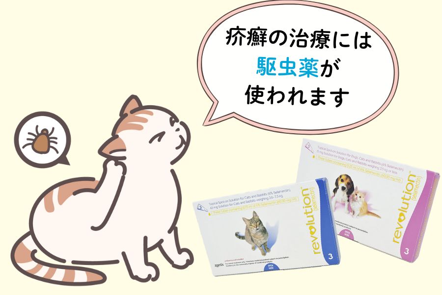猫の疥癬の治療方法