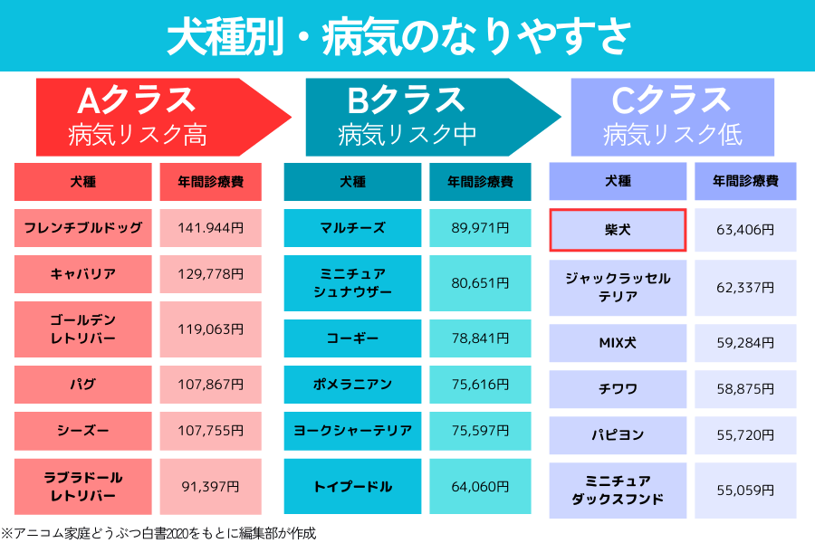 柴犬の病気のなりやすさ一覧