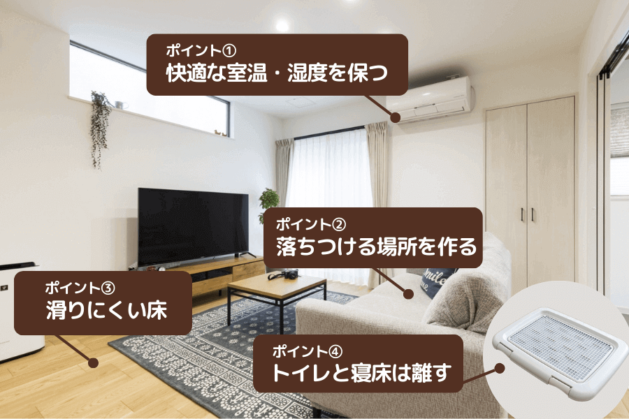 柴犬を室内飼育するときの注意したいポイント