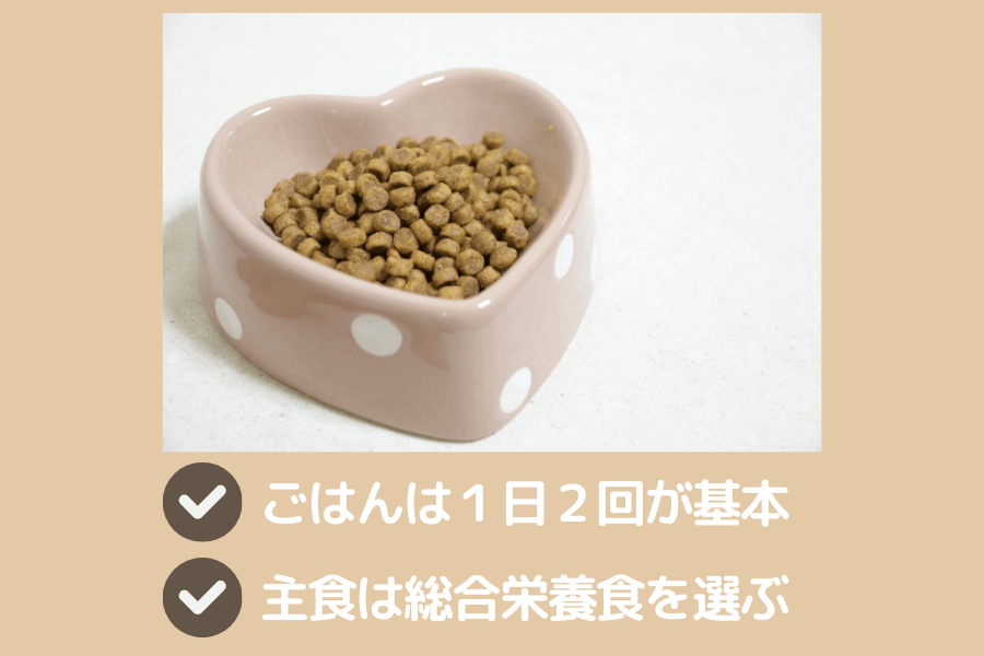 柴犬の食事方法・フードの選び方