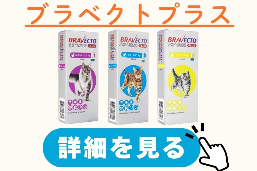 ブラベクトスポット