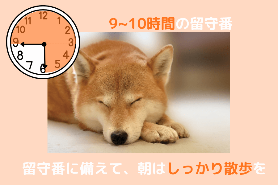 柴犬の9～10時間の留守番は十分可能