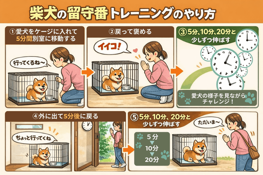 柴犬の留守番トレーニングの方法