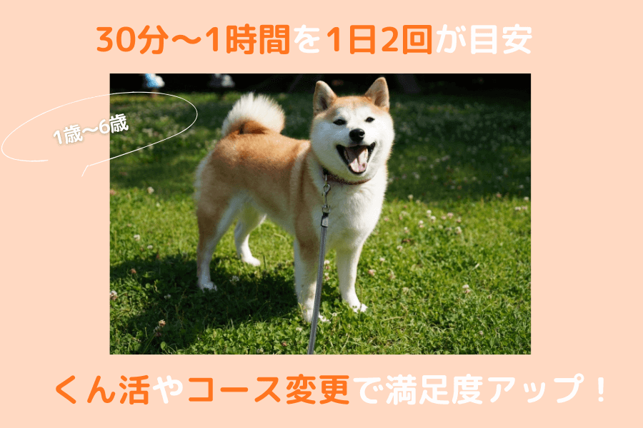 1歳~6歳の柴犬の散歩時間