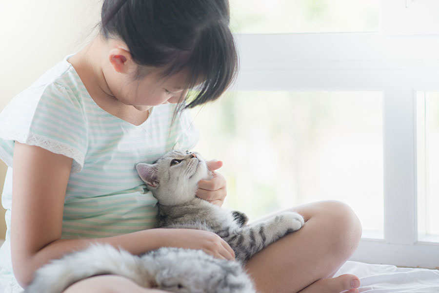 条件を理解することが、後悔しないお迎えにつながる