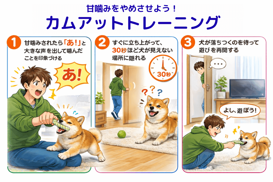 カムアットトレーニングのやり方