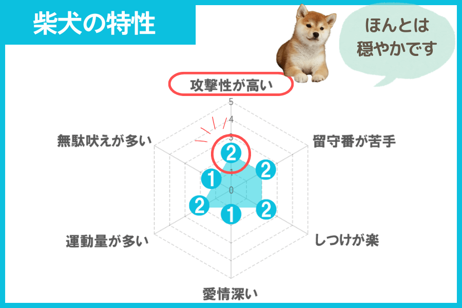 柴犬の特性を示すレーダーチャート