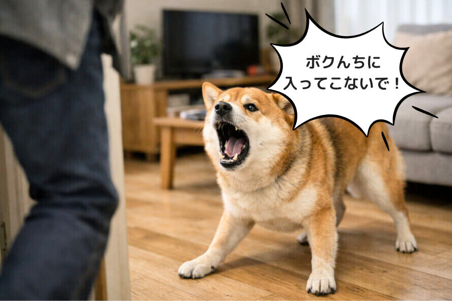 縄張りを守ろうとしている