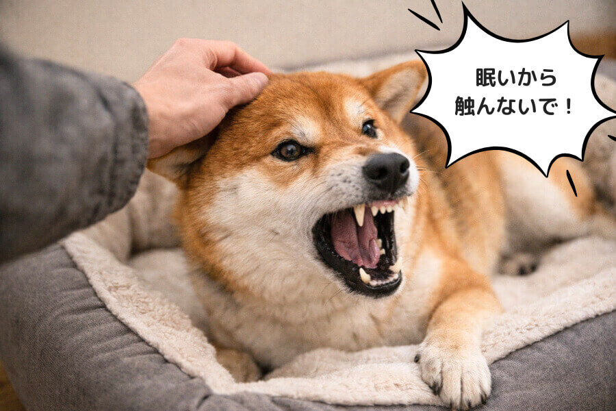 感情のコントロールができていない