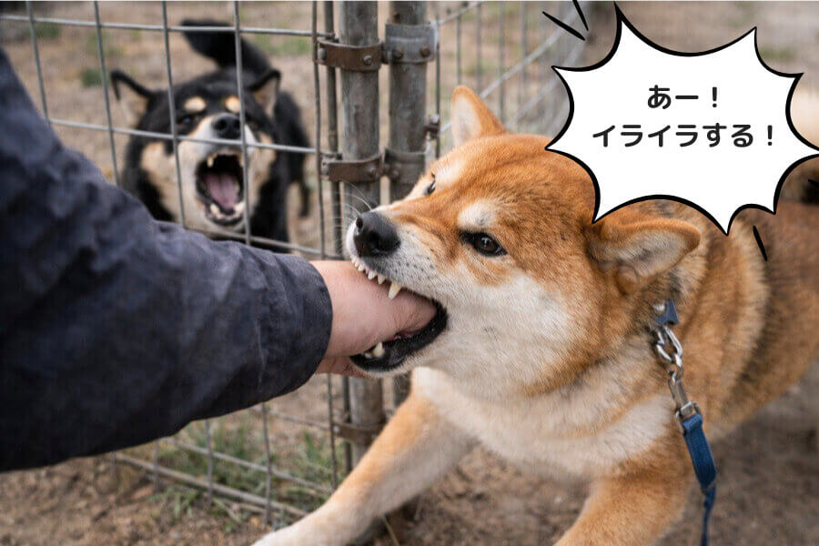 八つ当たりしている