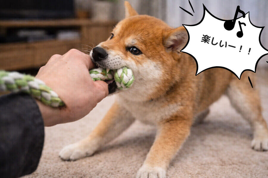 遊びがエスカレートしている