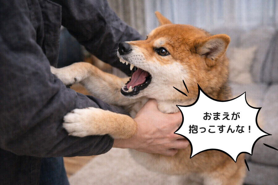 自分が優位な立場にいると認識している