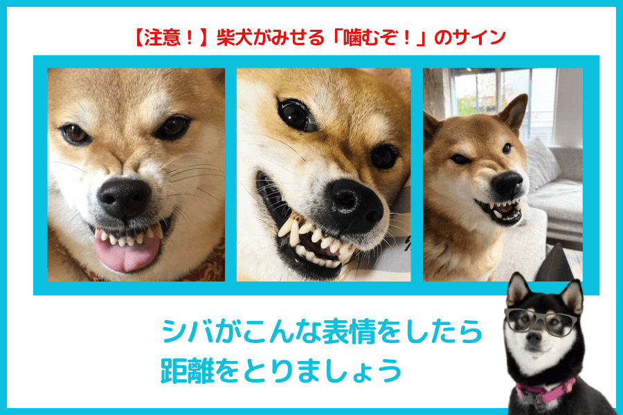 噛む前兆があらわれたら距離をとる
