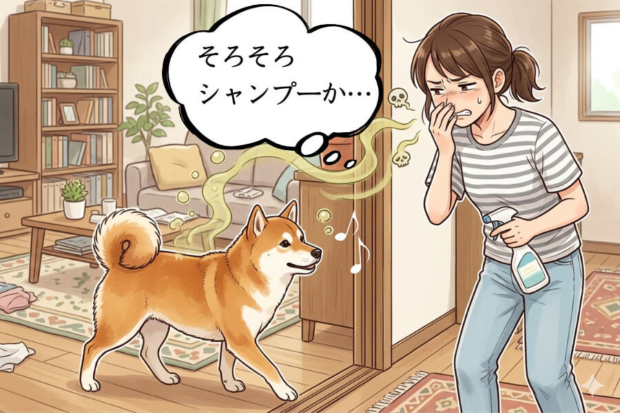 みんなはどうしてる?シャンプーのタイミング