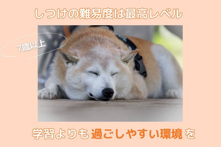 シニア期(7歳以降)