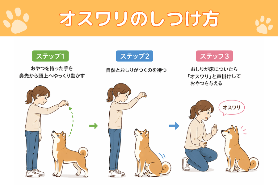 オスワリのしつけ方