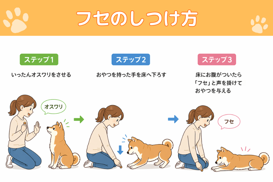 フセのしつけ方