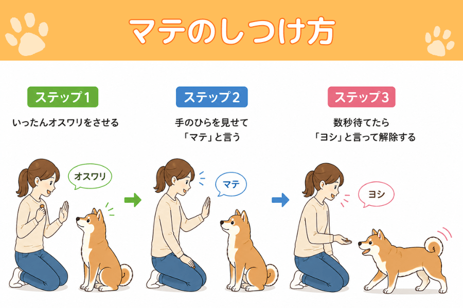 マテのしつけ方