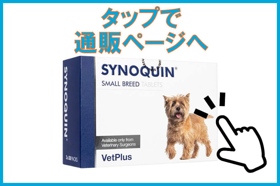 サイノクイン