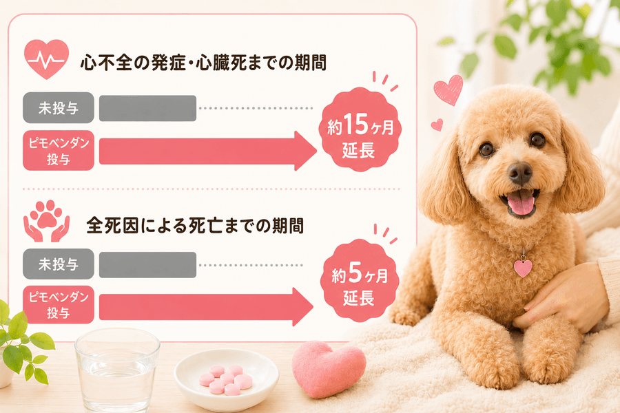 ピモベンダンの投与で余命はどう変わる?
