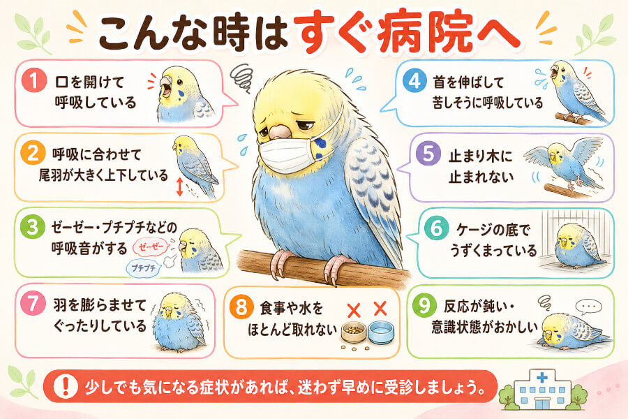 すぐ病院へ！呼吸困難が疑われるサイン