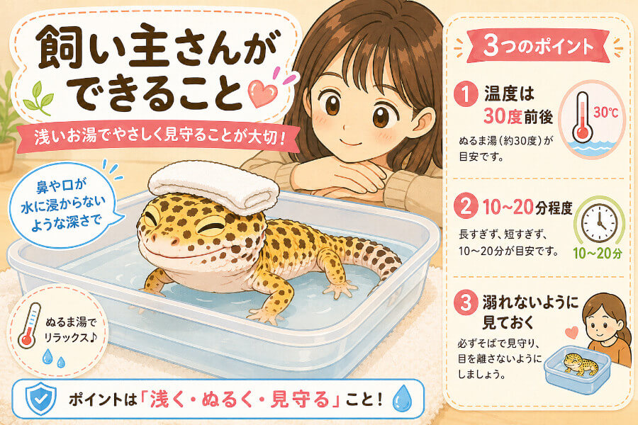【発症後】飼い主さんができること