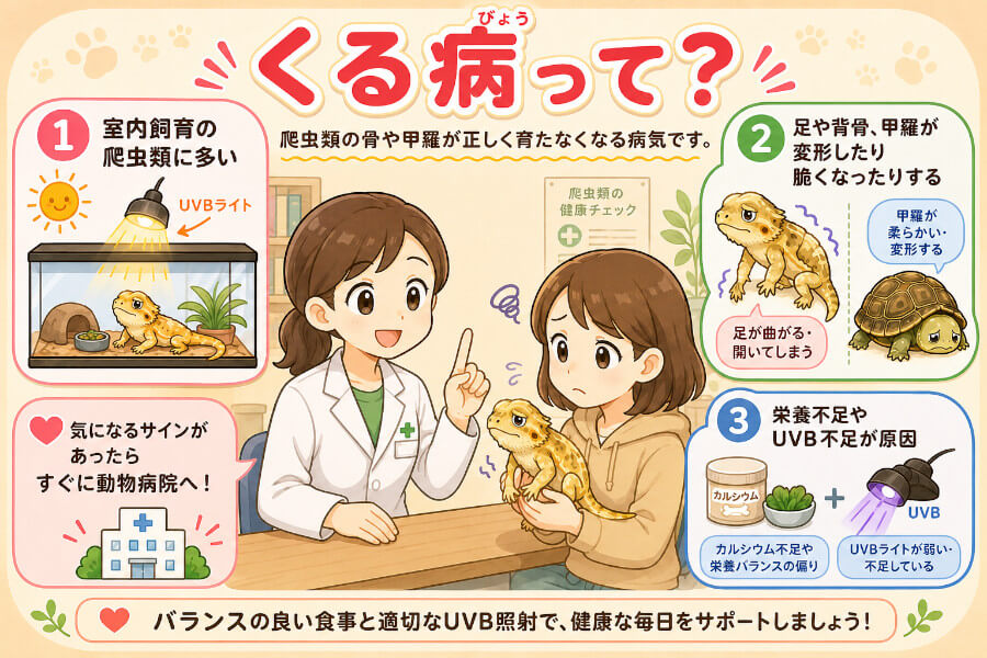 くる病ってどんな病気？