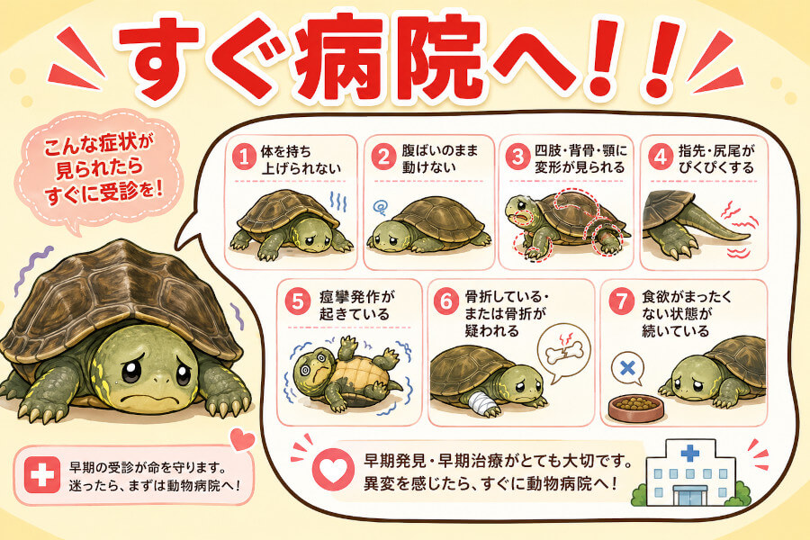 すぐ病院へ！様子見NGのサイン