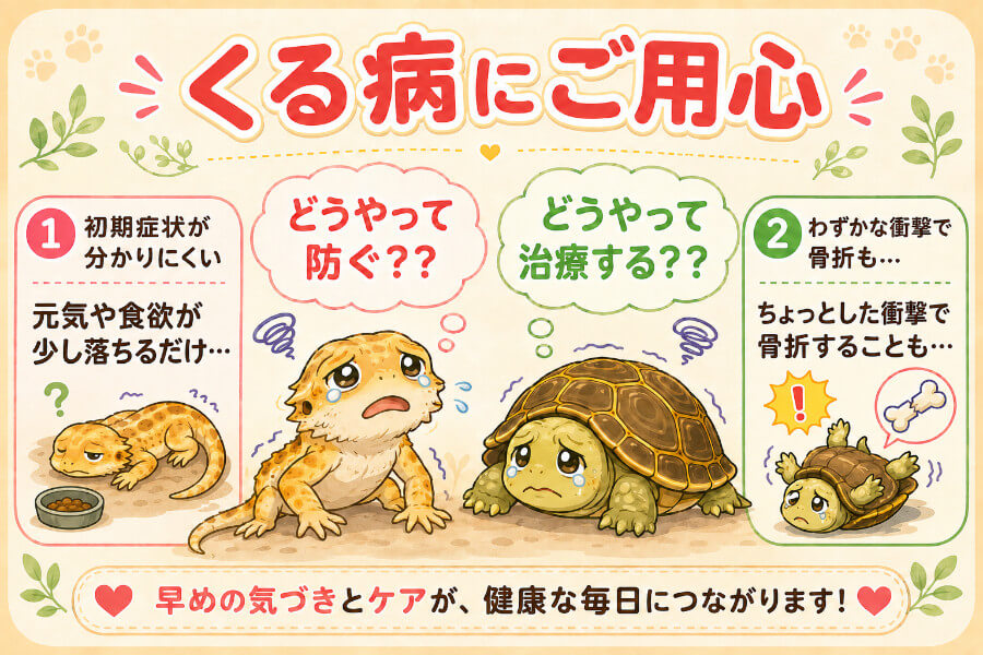 カナヘビとヤモリのくる病はどう治療する？飼い主さんにできる予防法も紹介