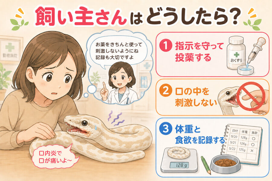 【発症後】飼い主さんができること