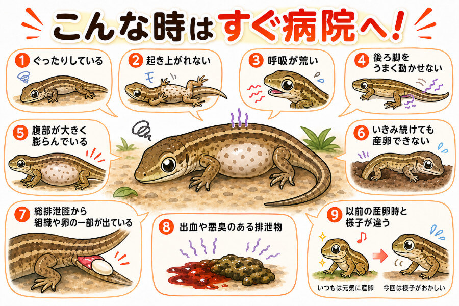 すぐに病院へ行くべきサイン