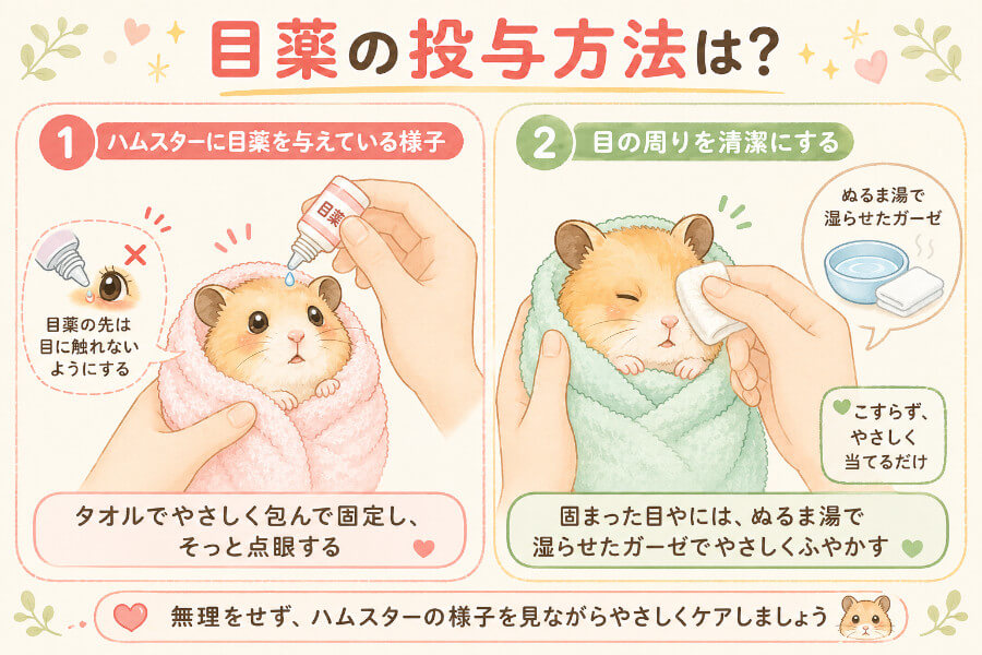 飼い主さんができること