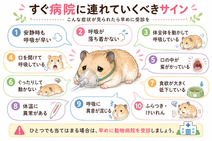すぐ病院へ!様子見NGのサイン