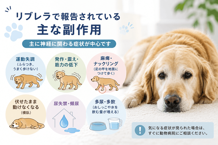 リブレラで報告されている主な副作用