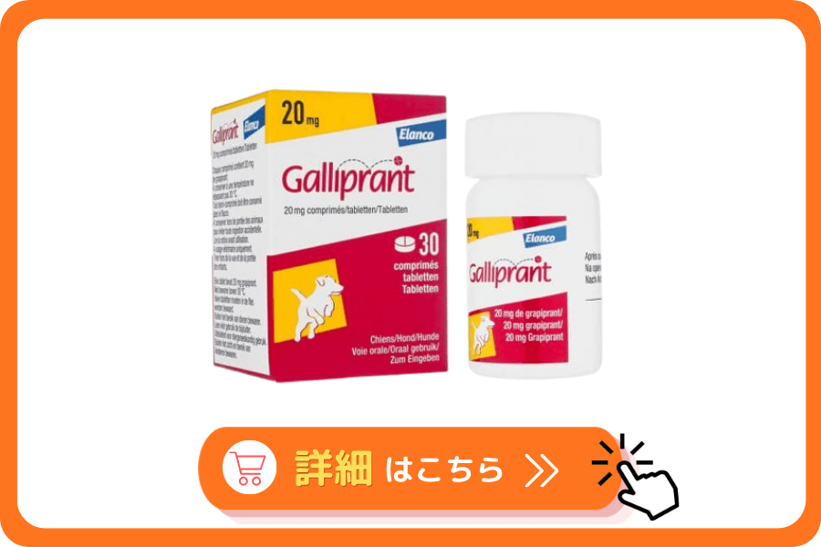 ガリプラント