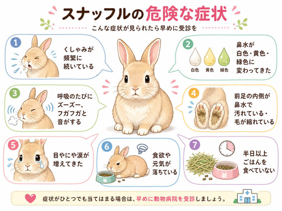 スナッフルの危険な症状