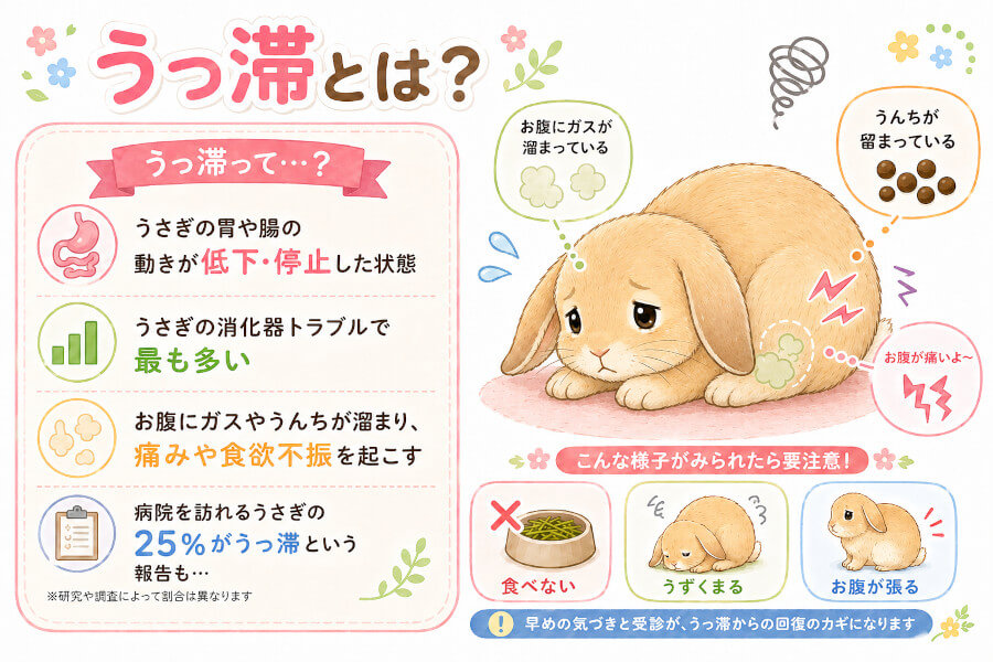 うさぎのうっ滞とは？