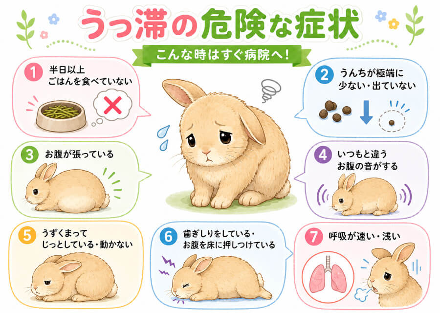 うさぎのうっ滞の危険な症状