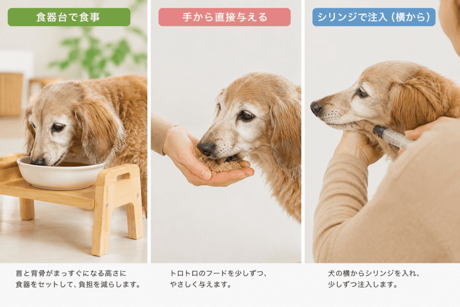 老犬介護【食事編】