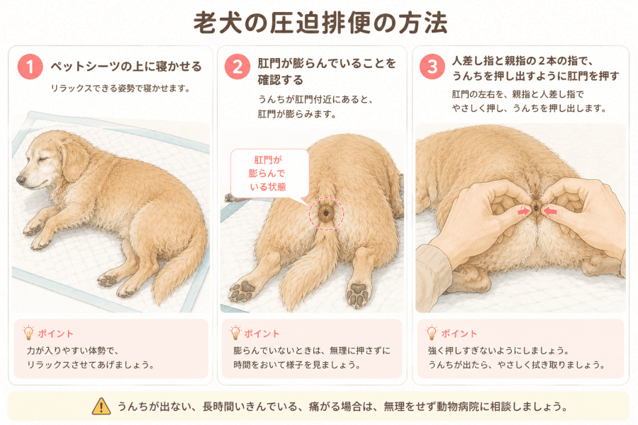 圧迫排便のやり方