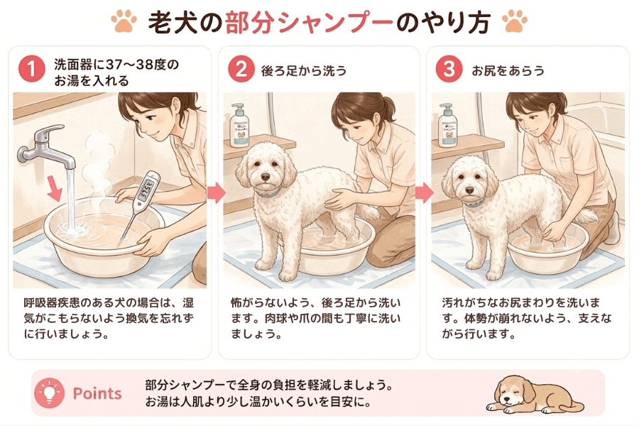部分シャンプーのやり方